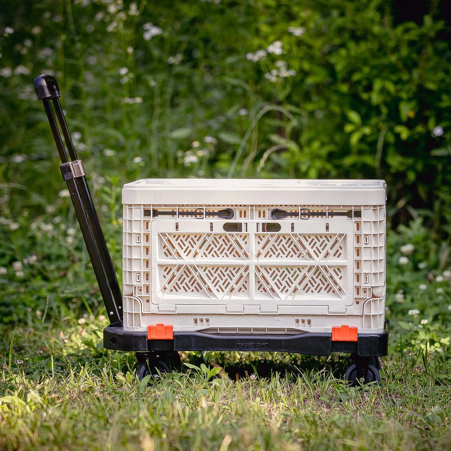 Folding Cart