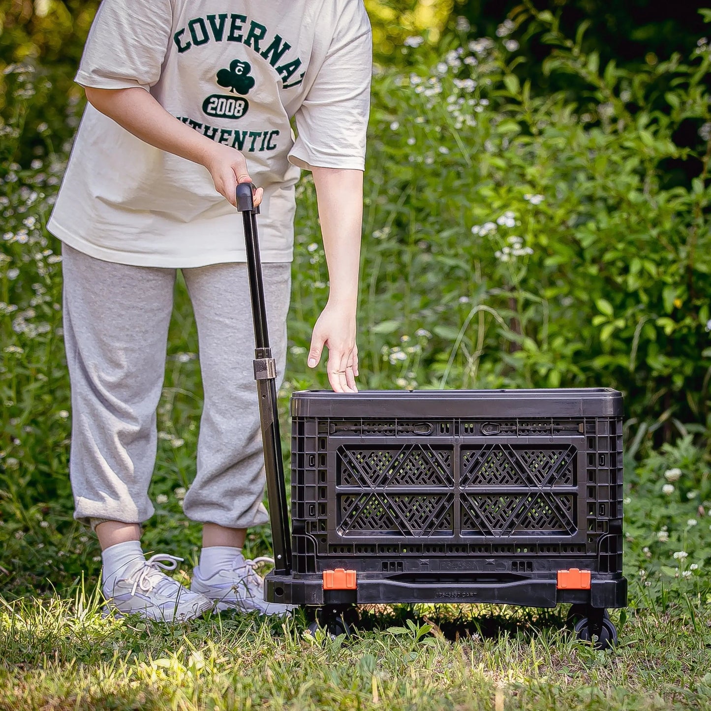Folding Cart