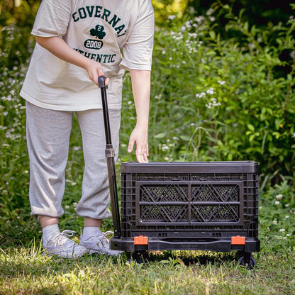 Folding Cart