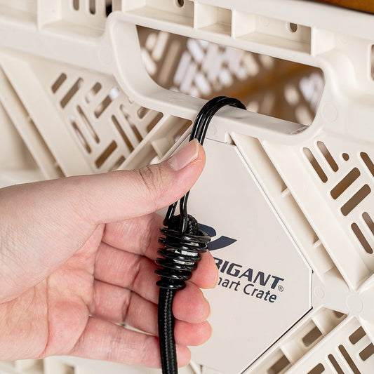 BUNGEE CORD SET